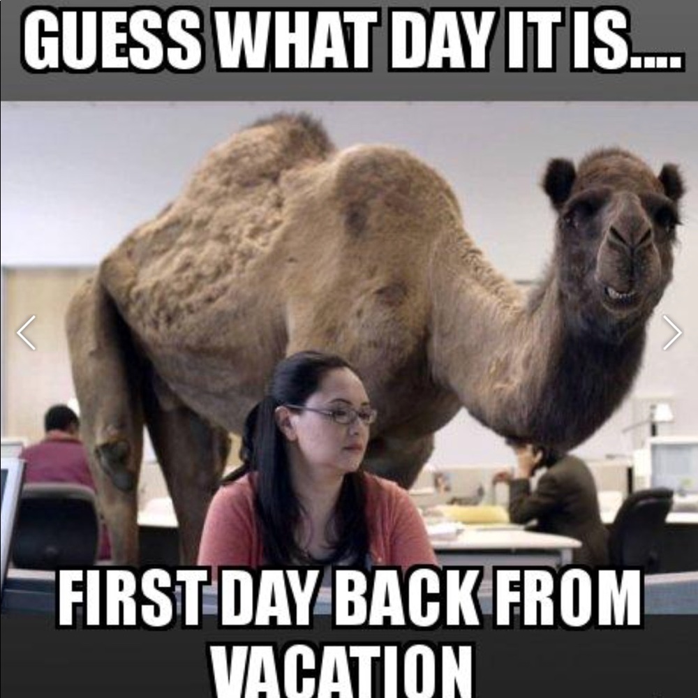 Vacation over 😭😭😭🤦‍♂️🤦‍♂️🤦‍♂️